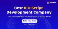 Pulsehyip - Best ICO Script Development Company image 1